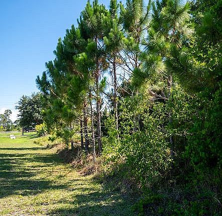 4th image of 1 Pelican Island Pl