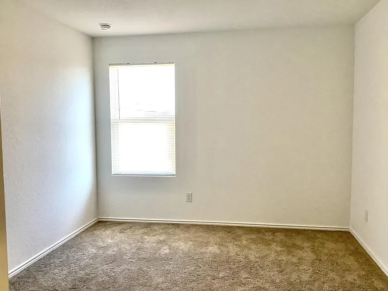 7238 Ox Pl — Photo 9