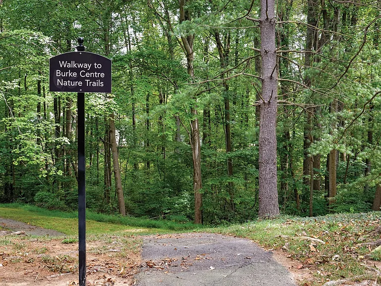 Halstead Burke — Photo 32