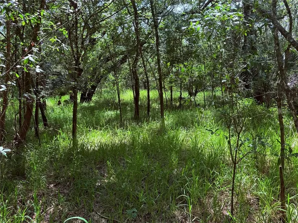 NE River Ridge Ave Lot 2, Arcadia, FL 34266