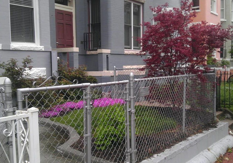 Frontyard