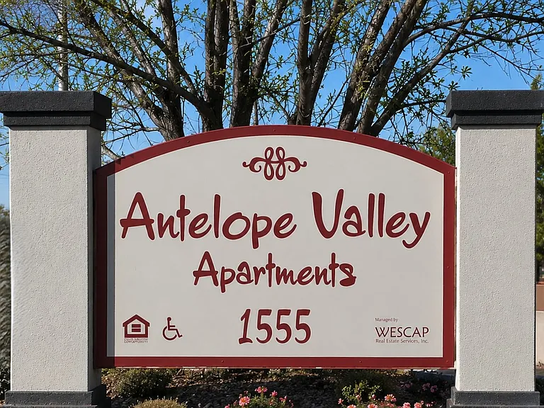 Antelope Valley — Photo 2