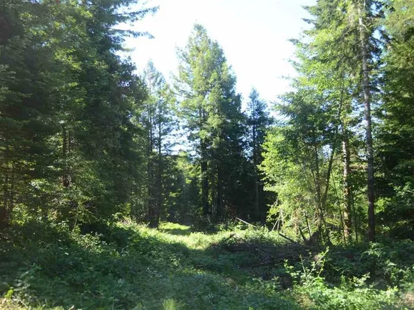 LOT 25 Bell Hole Loop, Crescent City, CA 95531