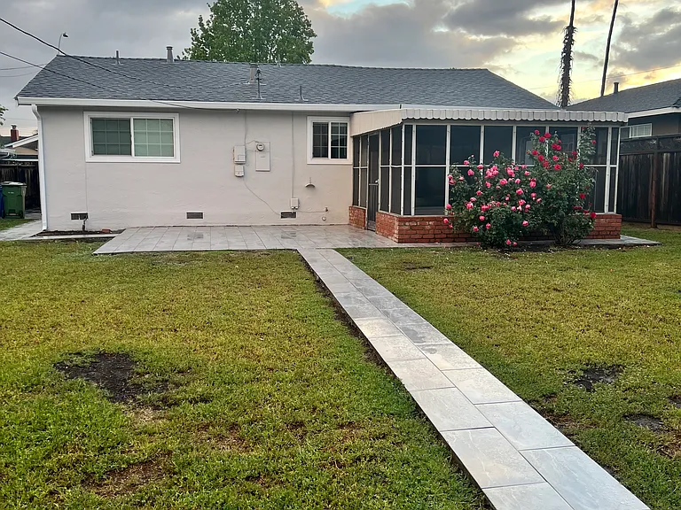 Backyard