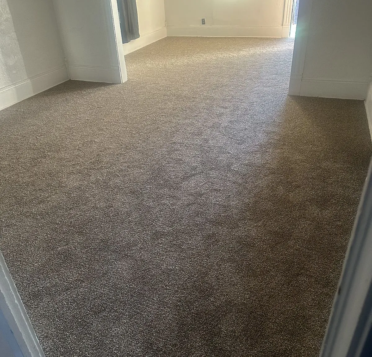 405 Lincoln Ave — Photo 4
