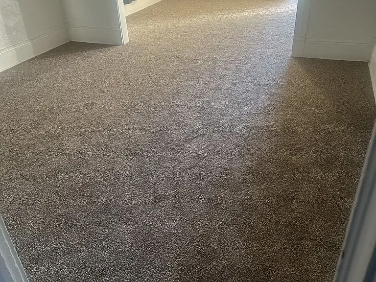 405 Lincoln Ave — Photo 6