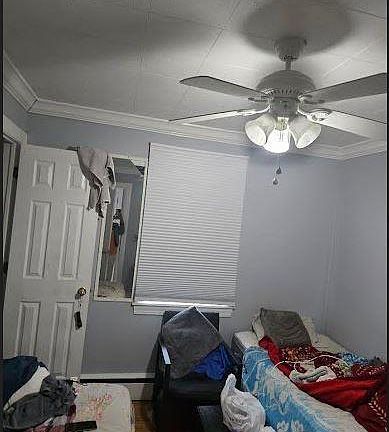 4th image of 33 Brown Street