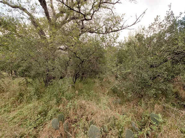 Lot 225 Prairie Creek Drive, Granite Shoals, TX 78654