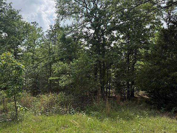 2nd image of Bullard Ln