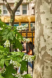 Rented by R New York