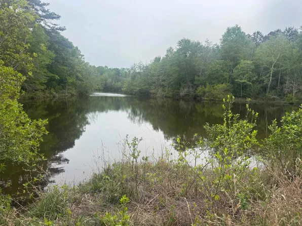 0 County Road 45, Andalusia, AL 36420