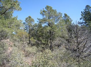 1211 N Marissa Cir, Payson, AZ 85541