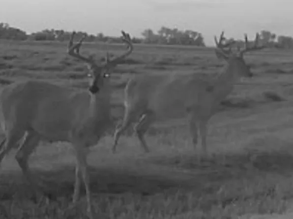 11550 W Golden Bell Cir, Clearwater, KS 67026