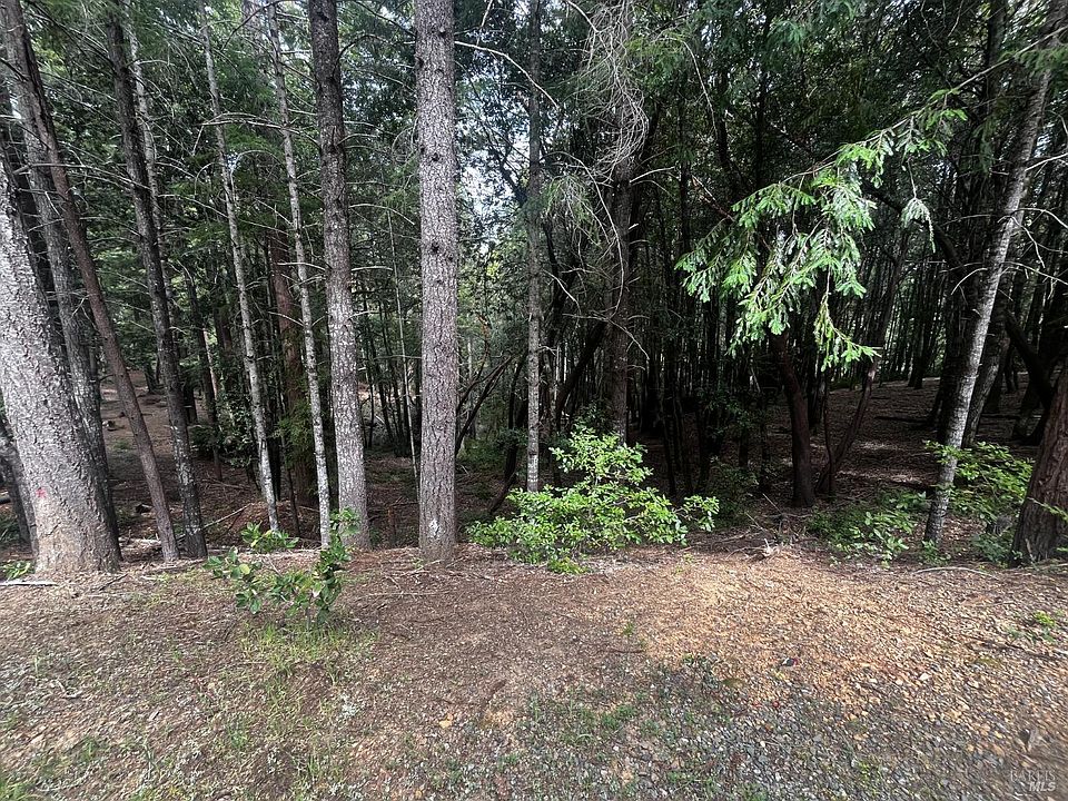 1st image of 1572 Camellia Place