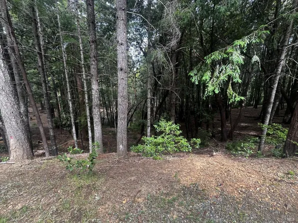 1572 Camellia Place, Willits, CA 95490