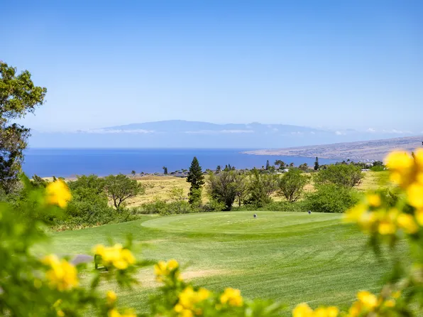68-1767 Melia St, Waikoloa, HI 96738