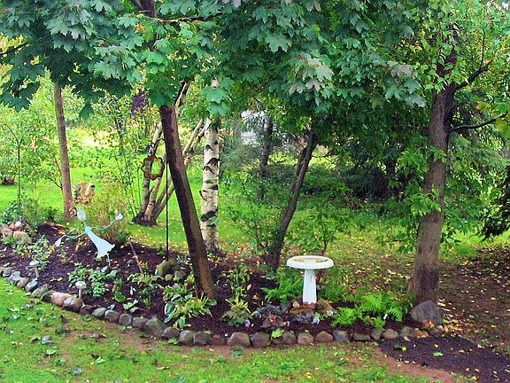 Side Yard + open space