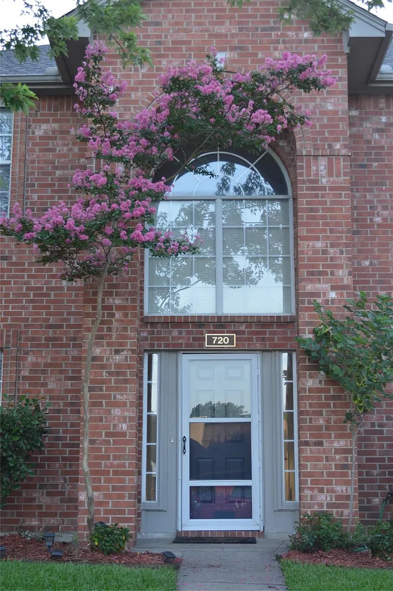 Front of house - 720 Fawn Valley Dr