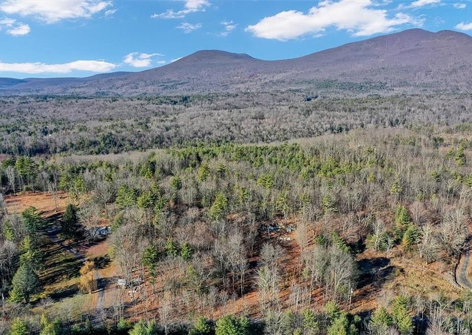 592 Acorn Hill Road Lot 2, Olivebridge, NY 12461 Zillow