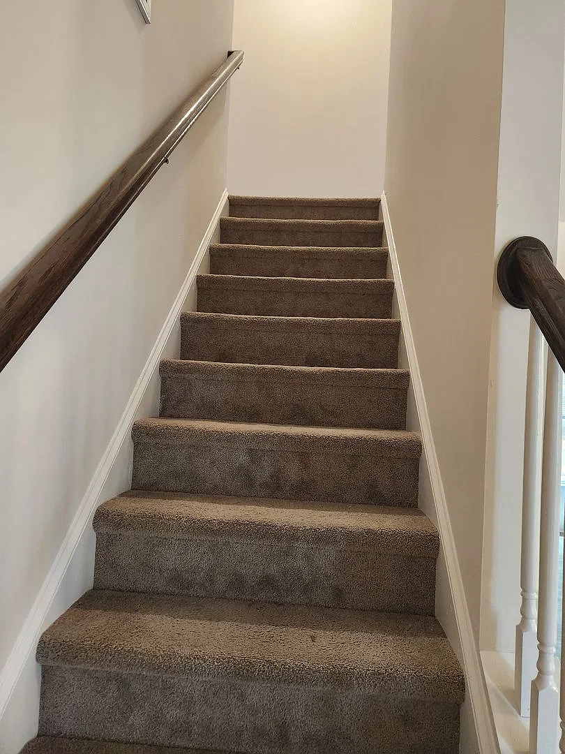 Blackstone- 4 Bed 2 Bath Cape Style Home — Photo 3