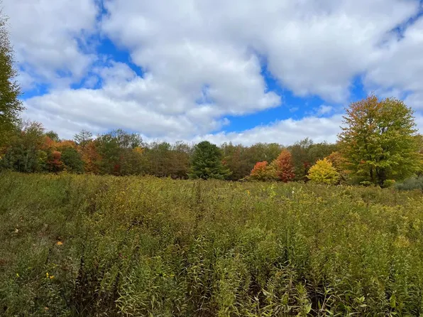 2188 & 0 Lockwood Run Rd, Lockwood, NY 14859