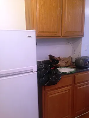 Rented by Next Door Realty NYC | media 11