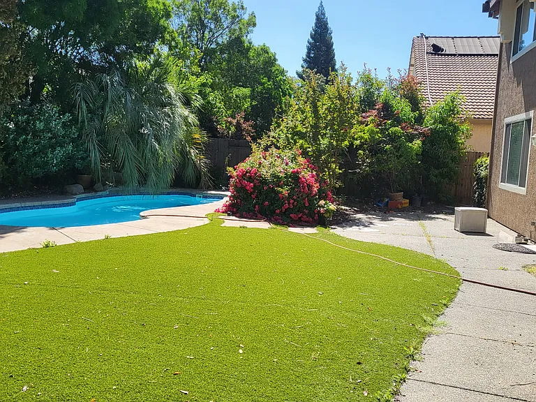 Backyard - turf grass + pool