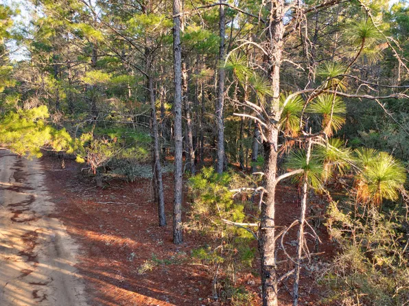 92 Duke Dr, Defuniak Springs, FL 32433