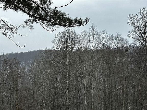 4th image of 702 Shepherd Rd