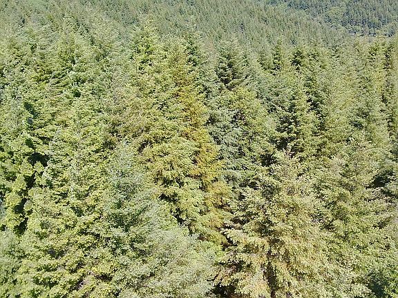 3rd image of Us Highway 101