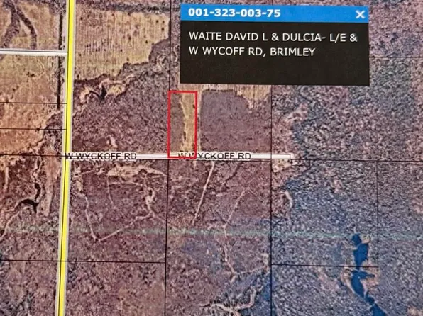 W Wycoff Rd, Brimley, MI 49715