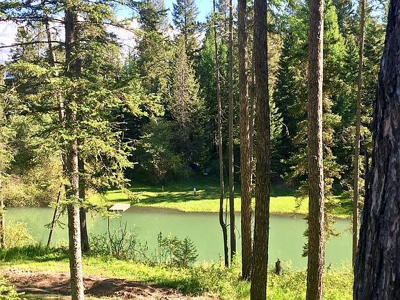 Whitefish River from driveway
