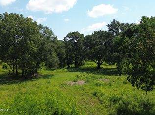 217 Weisenberger Rd, Madison, MS 39110
