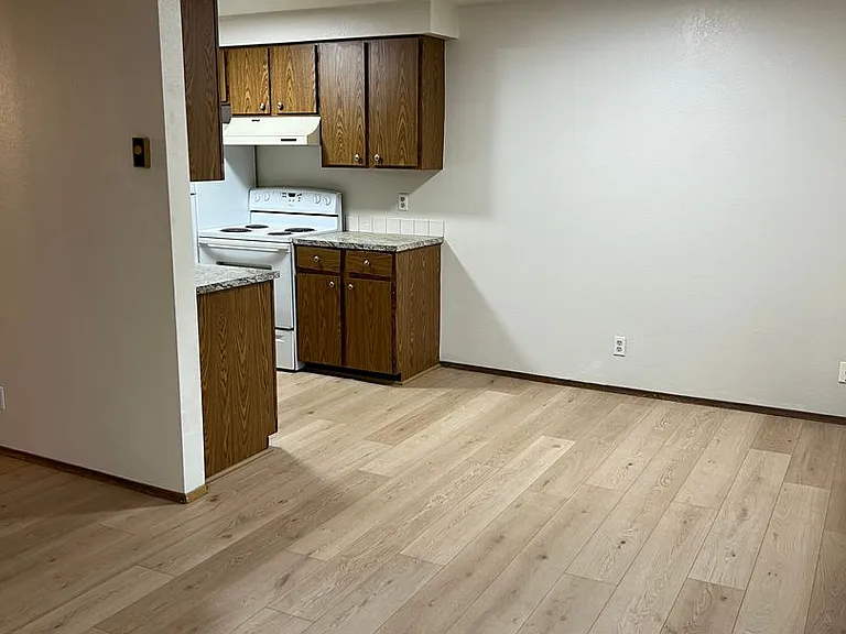 Viking Suites — Photo 5