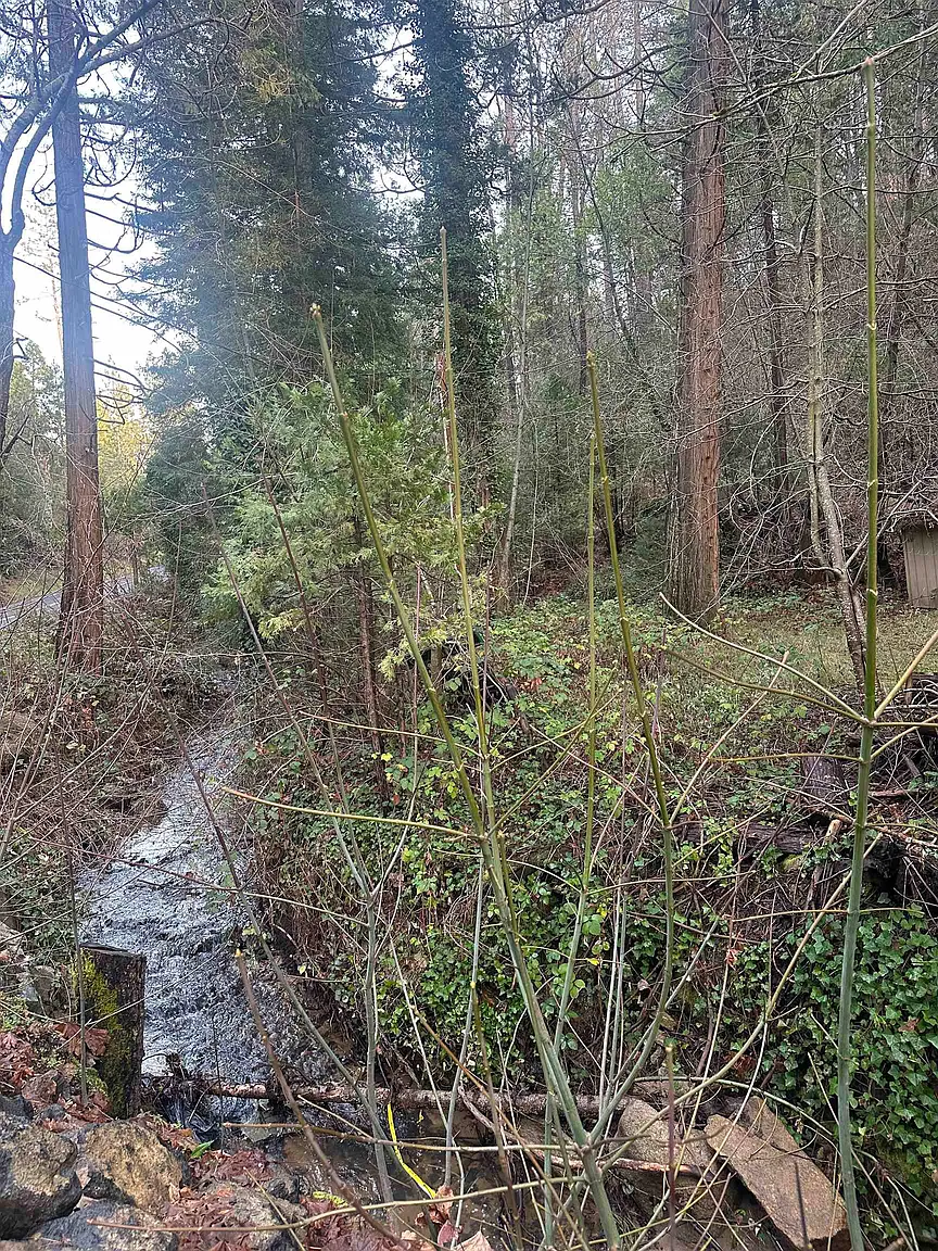 22895 S Fork Rd photo 1