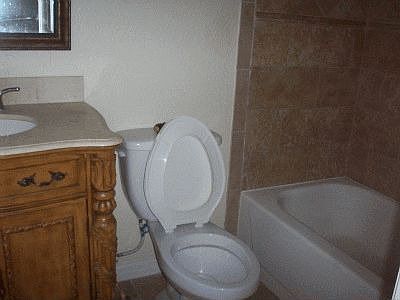 4th image of 3943 Dijon Dr