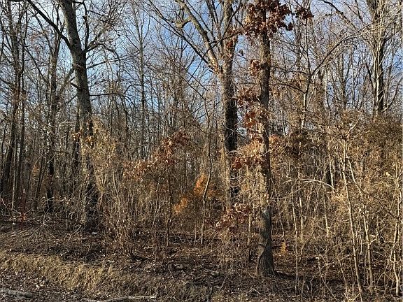 2nd image of TRACT 3 E 1070th Rd