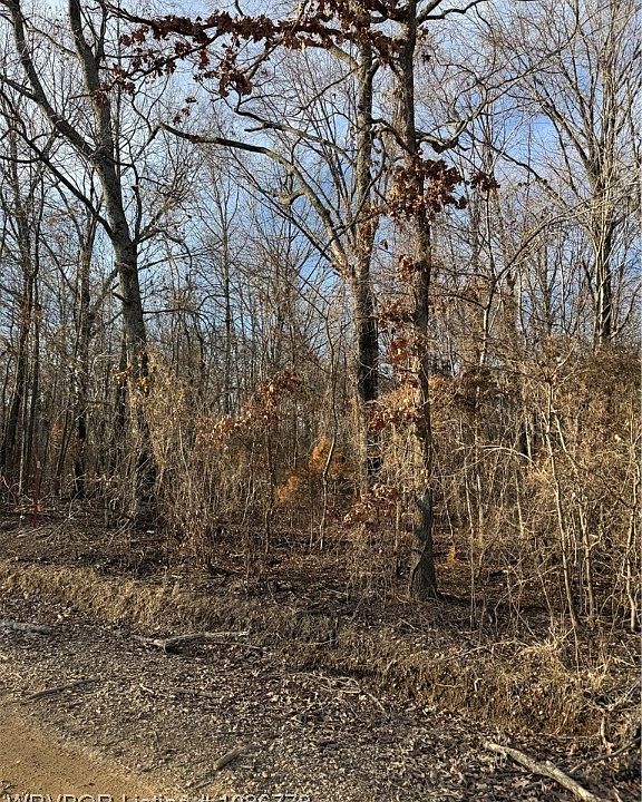 2nd image of TRACT 3 E 1070th Rd