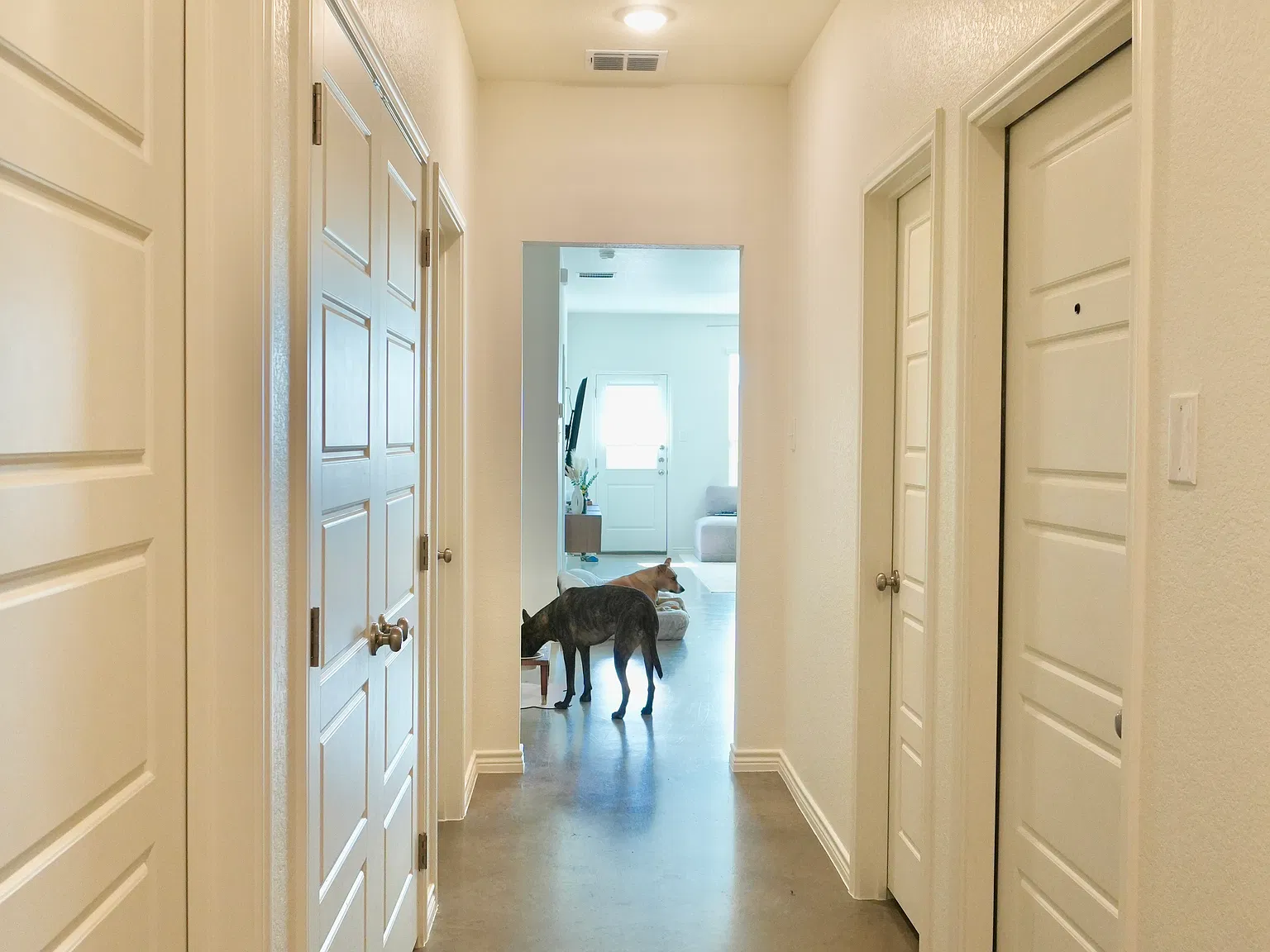 3 bed, 1200 sqft, $1,399 — Photo 3