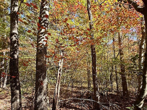 4th image of 0 Owl Hollow Rd Lot 7