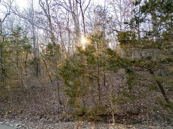 9601 Jackson Dr, Hillsboro, MO 63050