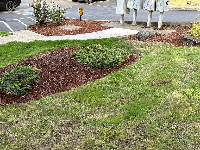 Crown Ridge — Photo 33