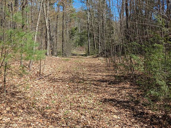 2nd image of South Scofield Mountain Road