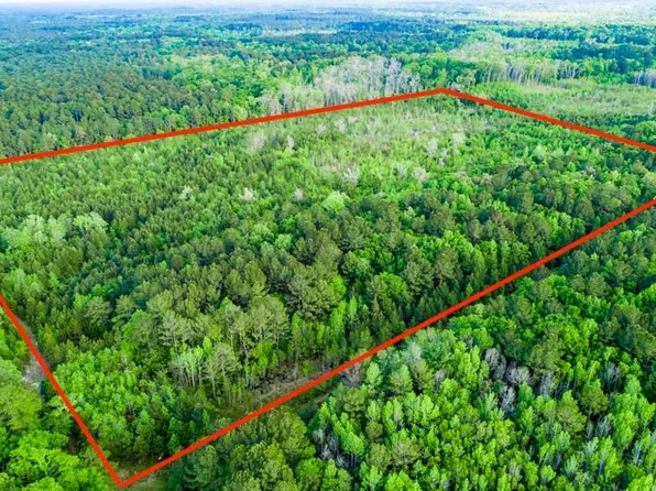 Dunham Williams Rd, Hardeeville, SC 29927