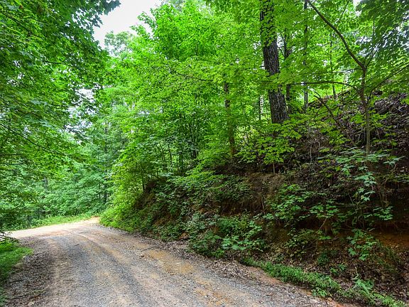 4th image of Goose Creek Way Lot 64