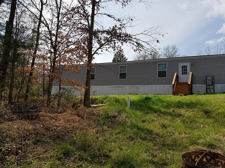Back yard and woods