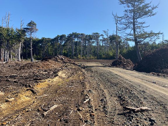 3rd image of Parcel 2 T/l 1203 Sw Fernwood Ln