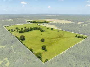 379 2nd St, Palestine, TX 75803