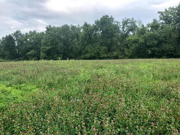 225 Clubhouse Dr, South Charleston, OH 45368