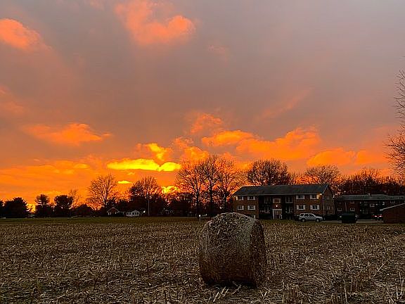 View from the back yard!